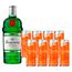 1-gin-tanqueray-london-dry-750ml---8-energeticos-red-bull-sabor-morango---pessego-the-summer-edition-250ml-1.jpg