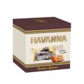 panetone-de-doce-de-leite-com-gotas-de-chocolate-havana-700g-1.jpg