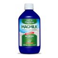 Leite-de-Magnesia-Magmilk-Hortela-com-350-ml-Principal