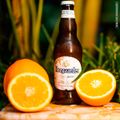 cerveja-de-trigo-hoegaarden-330-ml-long-neck-2.jpg