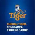 cerveja-tiger-american-lager-lata-350ml-3.jpg