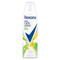 desodorante-aerosol-rexona-motion-sense-erva-doce-feminino-150ml-90g-1.jpg