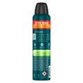 desodorante-aerosol-rexona-active-dry-masculino-250ml-leve-mais-pague-menos-3.jpg