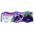 Gelatina-Sabor-Uva-Gelialgas-Com-210g---Principal