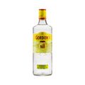 combo-1-gin-gordons-elderflower-700-ml---3-agua-tonica-antarctica-2.jpg