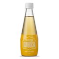 Kombucha-Biozen-Maca-com-Canela-Garrafa-300ml.jpg-Principal