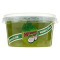 Doce-de-Mamao-com-Coco-Cremoso-Minas-Verde-Pote-300g.jpg-Principal