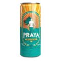 Cerveja-Puro-Malte-Praya-Com-355ml