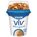 Iogurte-Granola-com-Castanhas-e-Amendoas--Mix-Vigor-Viv-Pote-140g.jpg-Principal