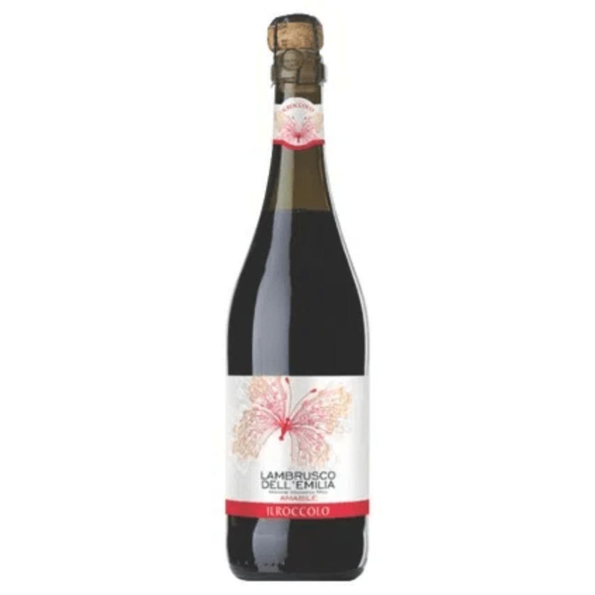 Vinho-Tinto-Italiano-Lambrusco-Dell-Emilia-Roccolo-Garrafa-750ml.jpg-Principal