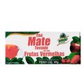 Cha-Mate-Tostado-de-Frutas-Vermelhas-25-Unidades-40g-Principal