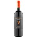 Vinho-Tinto-Chileno-Antakari-Reserva-Syrah-Garrafa-750-ml-Principal