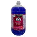 sabonete-liquido-para-as-maos-carrefour-soft-pitanga-2l-1.jpg