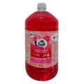 sabonete-liquido-para-as-maos-carrefour-soft-flores-inglesas-2l-1.jpg