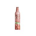 Kombucha-Alcoolica-Watermelon-Lowka-com-473-ml-Principal