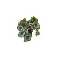 Begonia-Rex-Caracol-Ornamental-Pote-17-Principal