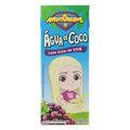 Agua-de-Coco-Os-Aventureiros-Sabor-Uva-Caixa-200ml.jpg-Principal