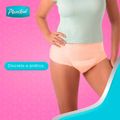 roupa-intima-plenitud-femme-g-xg---8-unidades-2.jpg