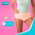 roupa-intima-plenitud-femme-g-xg---8-unidades-3.jpg