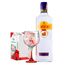 gin-gordon-s-london-dry-750ml---taca-gin-tonica-vidro-600-ml-ruvolo-drink-base-vermelha-1.jpg