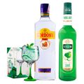 gin-gordon-s-london-dry-750ml---xarope-maca-verde-mathieu-teisseire-garrafa-700-ml---taca-gin-tonica-vidro-695-ml-ruvolo-com-base-verde-1.jpg