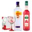 gin-gordon-s-london-dry-750ml---xarope-framboesa-mathieu-teisseire-garrafa-700-ml---taca-gin-tonica-vidro-600-ml-ruvolo-drink-base-vermelha-1.jpg