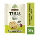 snack-organico-mae-terra-sabor-cebola-e-salsa-tribos-50g-2.jpg