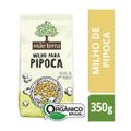 milho-para-pipoca-mae-terra-350g-2.jpg