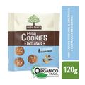 cookie-organico-de-castanha-mae-terra-mini-120g-2.jpg
