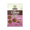 cookie-organico-cacau-e-castanha-mae-terra-25g-1.jpg