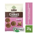 cookie-organico-cacau-e-castanha-mae-terra-25g-2.jpg