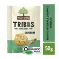 salgadinho-organico-e-integral-mae-terra-sabor-original-tribos-50g-2.jpg