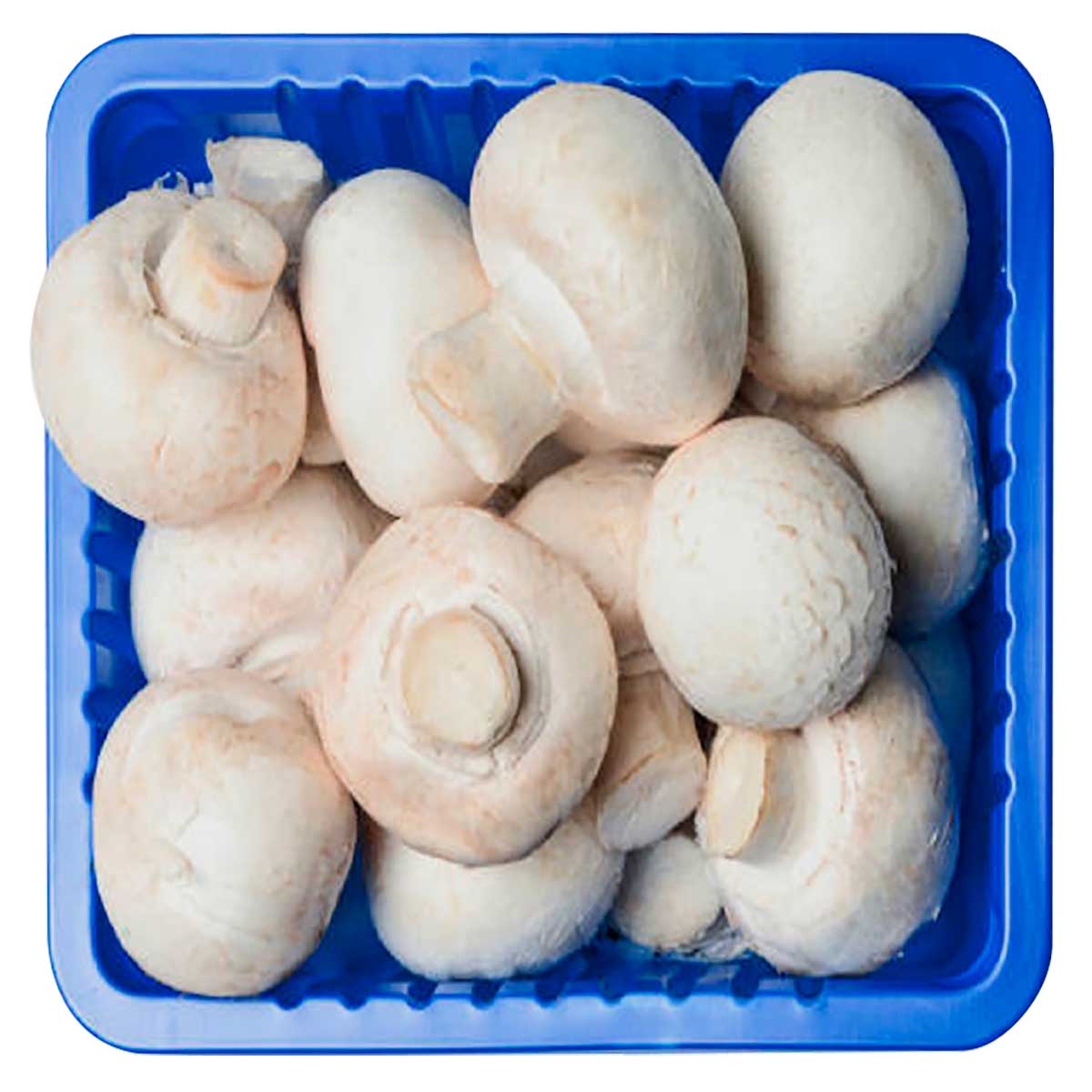 cogumelo-champignon-yamashita-200g-1.jpg