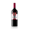 vinho-tinto-seco-cabernet-aresti-chile-wine-2019-750-ml-1.jpg