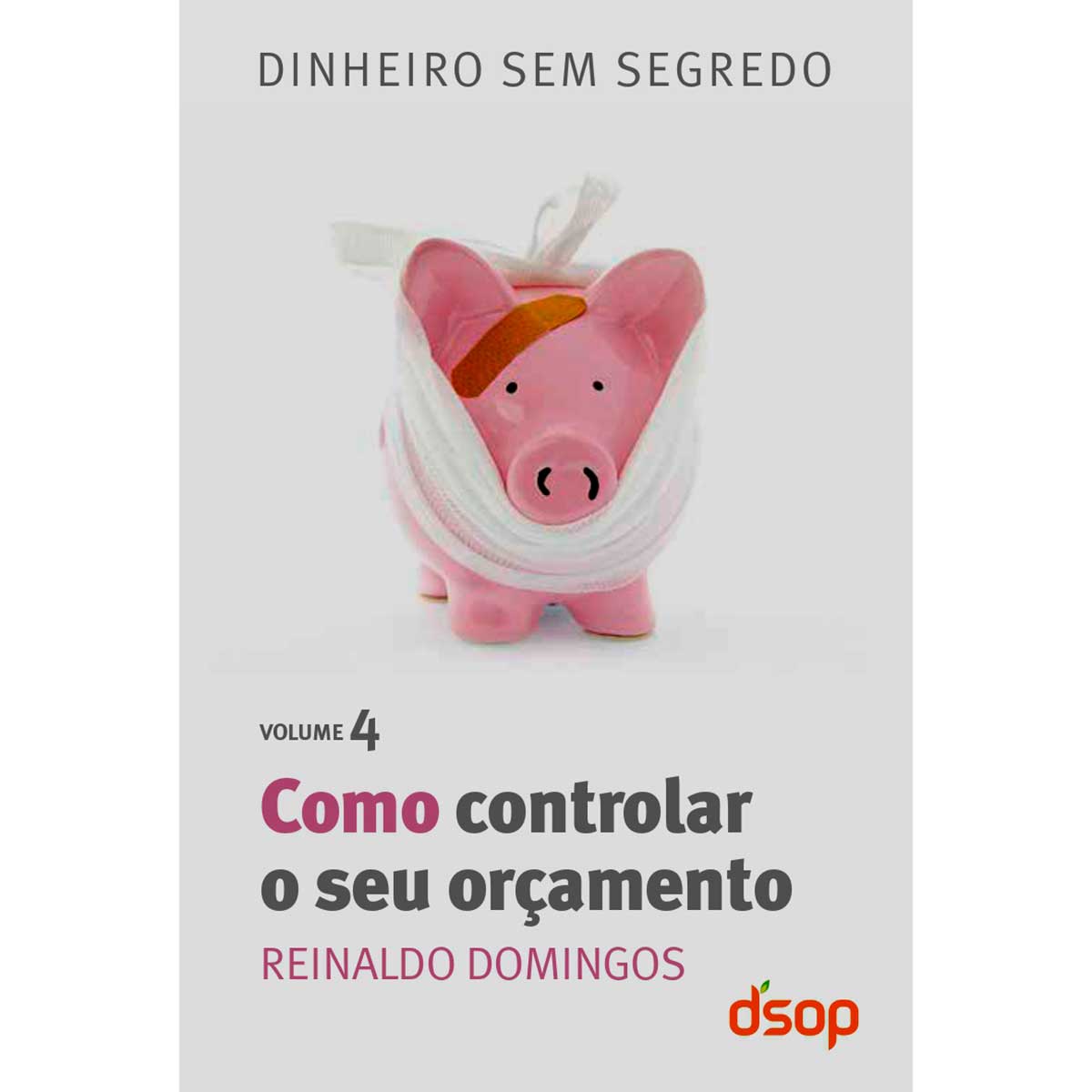 lv-como-controlar-o-seu-orcamento-vl4-1.jpg