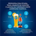 cerveja-blue-moon-lata-350ml-4.jpg