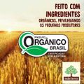 salgadinho-organico-infantil-mae-terra-zooreta-milho-45-g-7.jpg