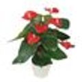 Anthurium-Decorado-Pote-17