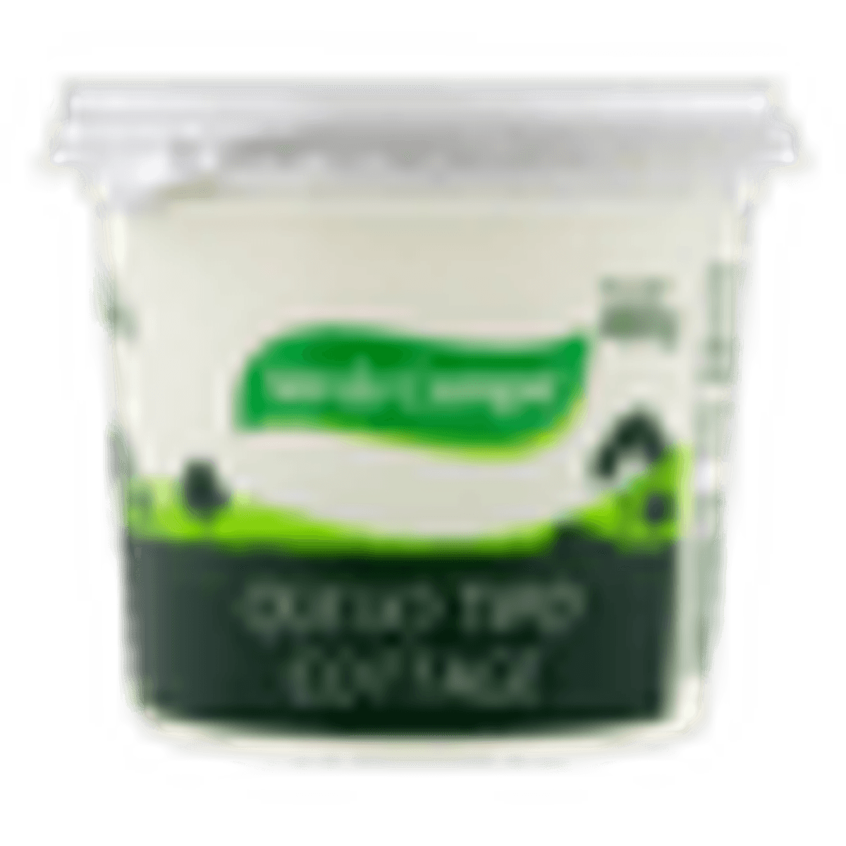 Queijo-Tipo-Cottage-Campo-Verde-400g