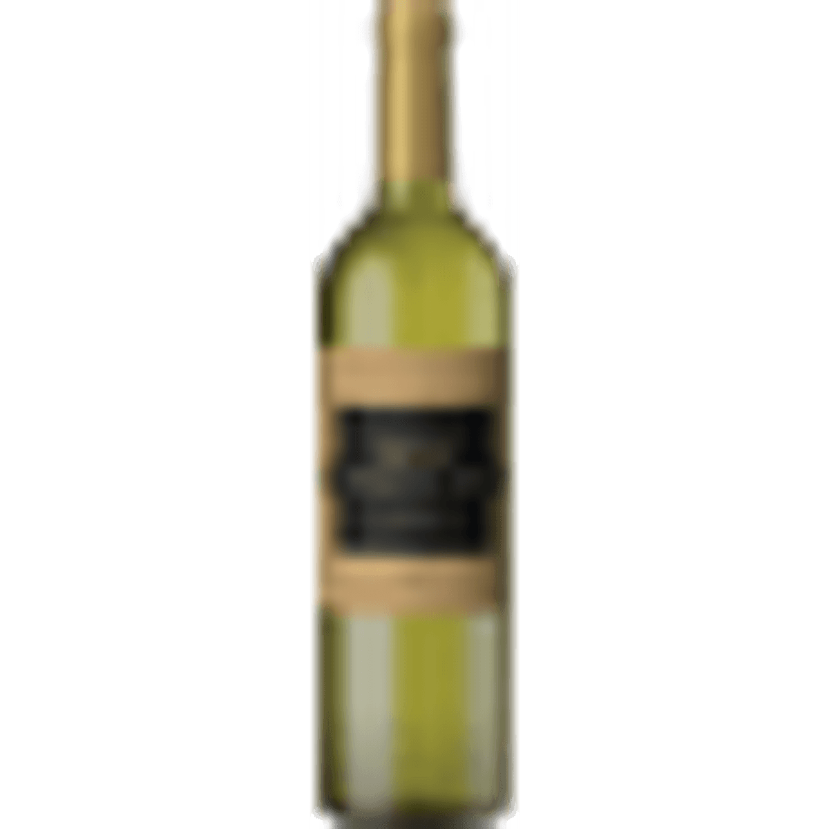 Vinho-Branco-Argentino-Torrontes-Puente-Sur-750ml