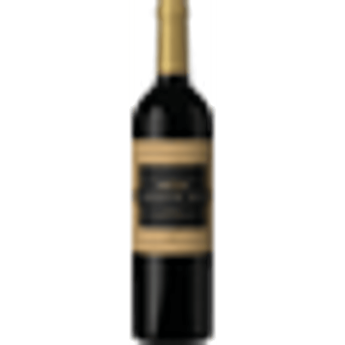 Vinho-Tinto-Argentino-Bonarda-Puente-Sur-750ml