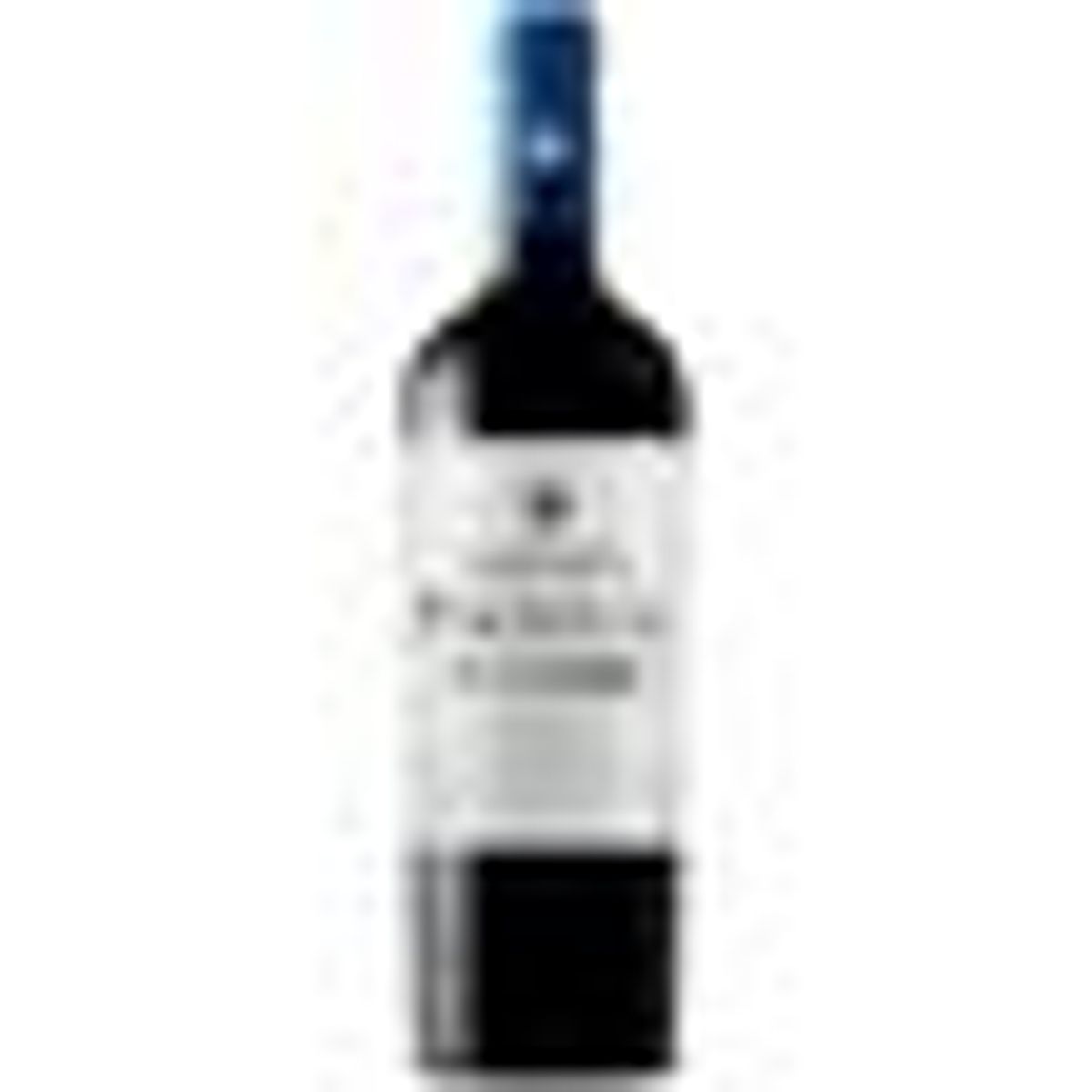 Vinho-Tinto-Chileno-Panul-Gran-Malbec-Viñedos-Marchigue-750ml