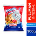 bisnaguinha-integral-pullman-300g-2.jpg