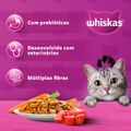 racao-para-gatos-adulto-carne-whiskas-3-kg-2.jpg