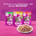 racao-para-gatos-adulto-carne-whiskas-3-kg-6.jpg