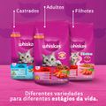 racao-para-gatos-adulto-carne-whiskas-3-kg-7.jpg