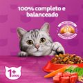 racao-whiskas-carne-para-gatos-adultos-500-g-4.jpg