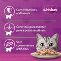 racao-umida-whiskas-sache-frango-ao-molho-para-gatos-adultos-85-g-4.jpg