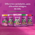 racao-umida-whiskas-sache-frango-ao-molho-para-gatos-adultos-85-g-9.jpg