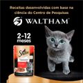 racao-umida-sheba-sache-cortes-selecionados-sabor-carne-ao-molho-para-gatos-filhotes-85-g-8.jpg